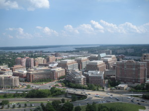 Views of Alexandria